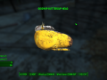 Fallout4 2015-11-16 13-23-17-08.png